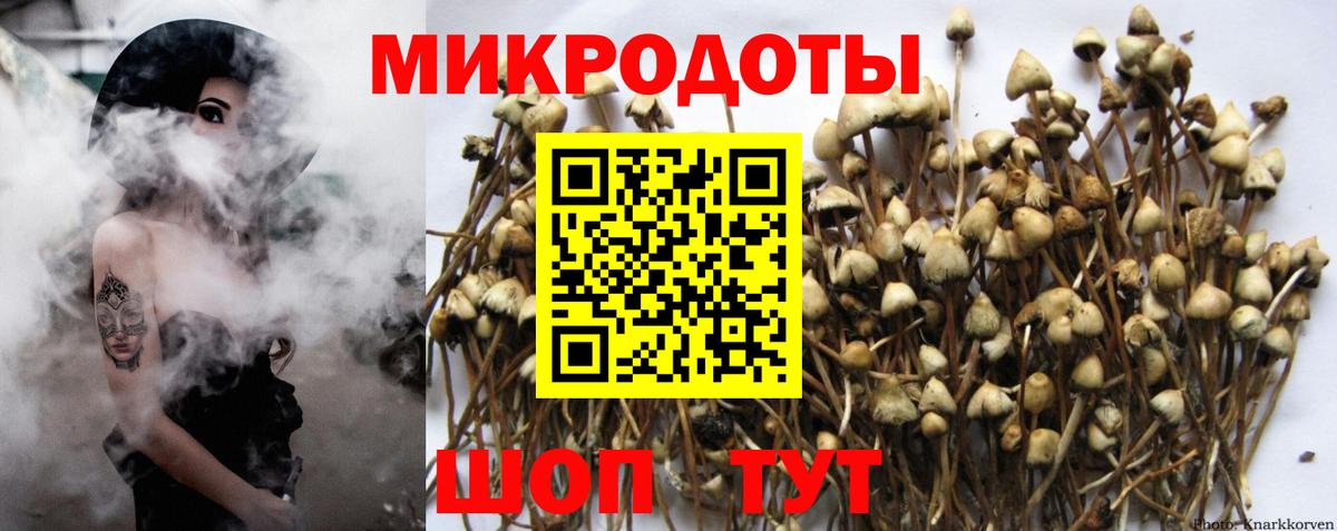 Псилоцибиновые грибы GOLDEN TEACHER  Назарово  Галлюциногенные грибы Magic Shrooms 