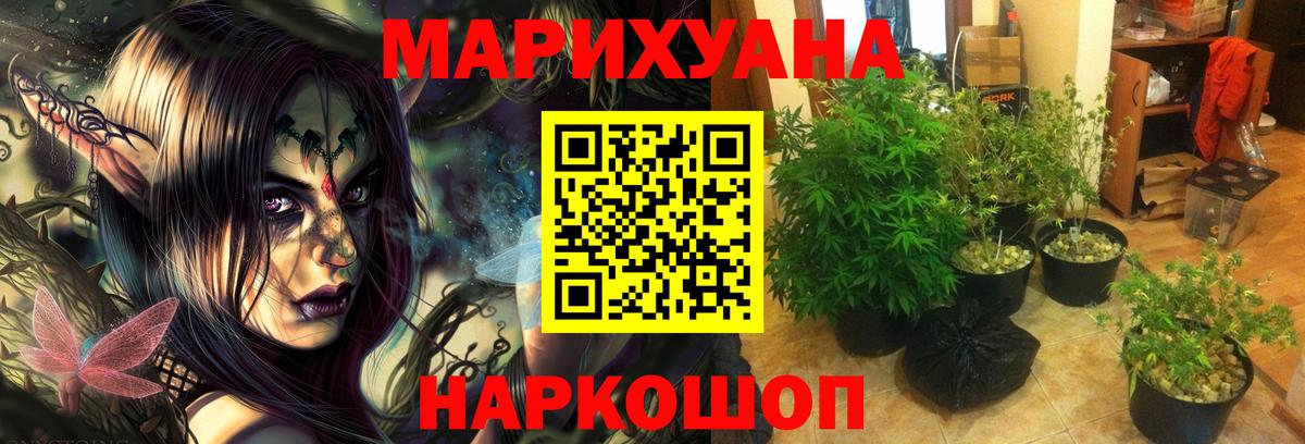 Бошки марихуана ГИДРОПОН  Марихуана White Widow  Назарово 